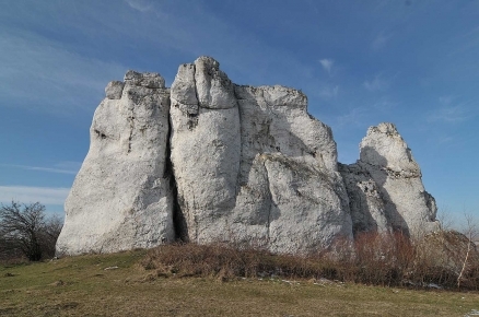 Zajęcia wspinaczkowe